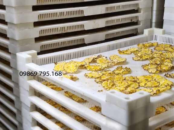 khay sấy hoa quả kích thước 60x80cm