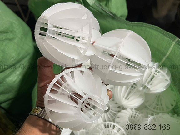 Sự phân tách của hệ thống sử lý nước thải khi sử dụng cầu nhựa d100mm