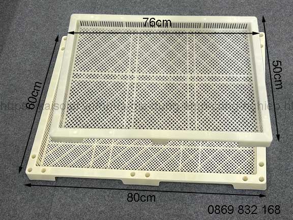 Thực phẩm, dược liệu khô bảo đảm vệ sinh, an toàn, giữ nguyên màu sắc, hương vị khi sấy bằng khay sấy nhựa