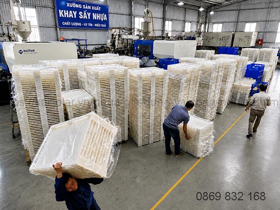Xưởng sản xuất khay sấy nhựa uy tín, chất lượng - Giúp tăng hiệu quả, chất lượng sản phẩm sau sấy